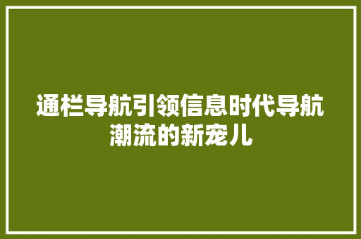 通栏导航引领信息时代导航潮流的新宠儿 百度算法