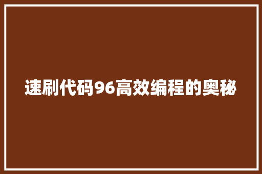 速刷代码96高效编程的奥秘 seo技术