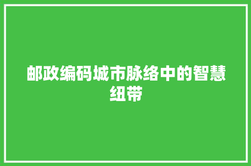 邮政编码城市脉络中的智慧纽带