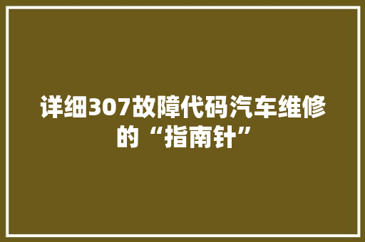 详细307故障代码汽车维修的“指南针”