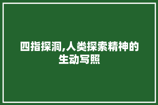 四指探洞,人类探索精神的生动写照 四指探洞,人类探索精神的生动写照 网站优化