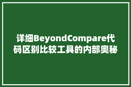 详细BeyondCompare代码区别比较工具的内部奥秘