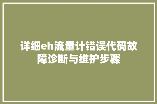 详细eh流量计错误代码故障诊断与维护步骤