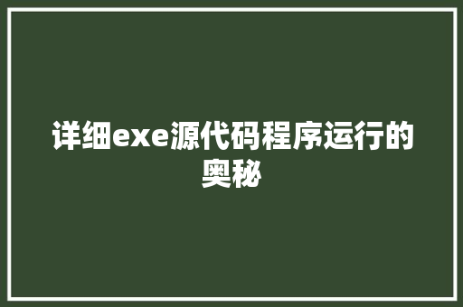 详细exe源代码程序运行的奥秘