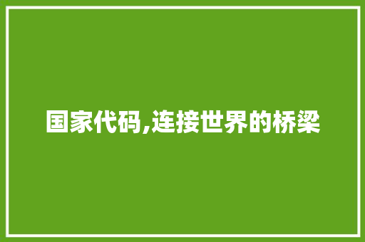 国家代码,连接世界的桥梁