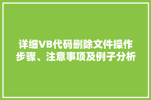 详细VB代码删除文件操作步骤、注意事项及例子分析