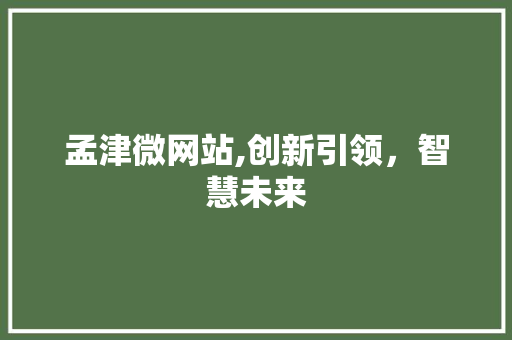 孟津微网站,创新引领，智慧未来 孟津微网站,创新引领，智慧未来 小程序开发