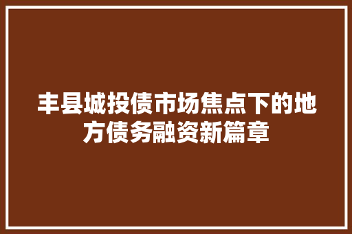 丰县城投债市场焦点下的地方债务融资新篇章 AI技术学习