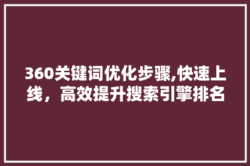 360关键词优化步骤,快速上线，高效提升搜索引擎排名 网站开发