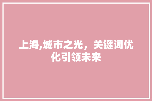 上海,城市之光，关键词优化引领未来 网站优化