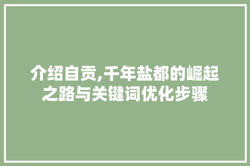 介绍自贡,千年盐都的崛起之路与关键词优化步骤 seo技术