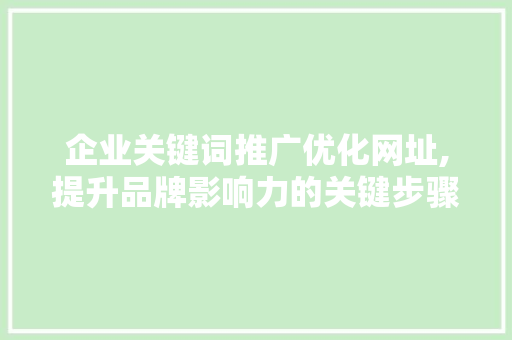 企业关键词推广优化网址,提升品牌影响力的关键步骤