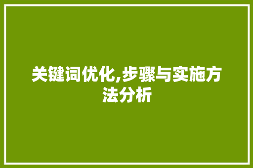 关键词优化,步骤与实施方法分析 seo技术