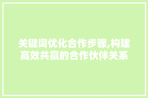 关键词优化合作步骤,构建高效共赢的合作伙伴关系 英文谷歌算法
