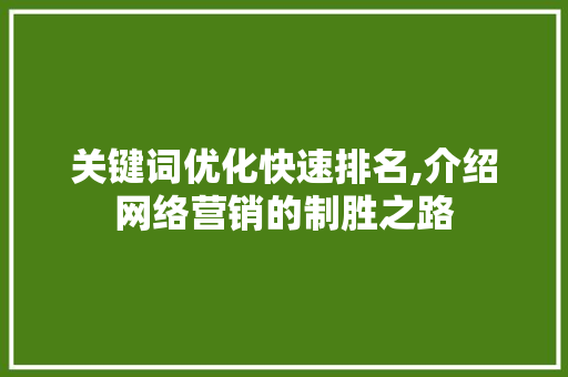关键词优化快速排名,介绍网络营销的制胜之路