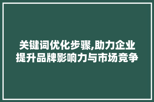 关键词优化步骤,助力企业提升品牌影响力与市场竞争力