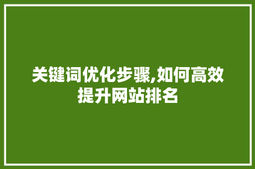 关键词优化步骤,如何高效提升网站排名