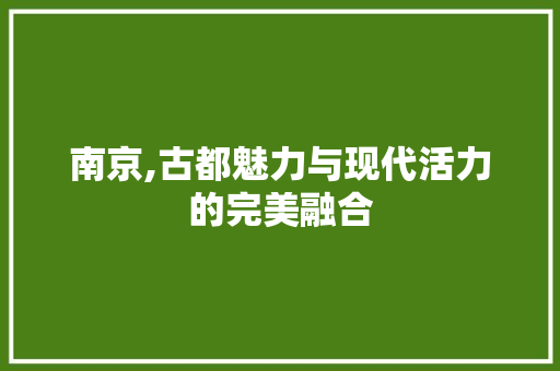 南京,古都魅力与现代活力的完美融合 网站优化