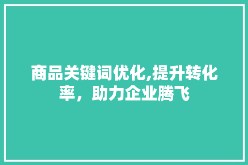 商品关键词优化,提升转化率，助力企业腾飞 英文谷歌算法
