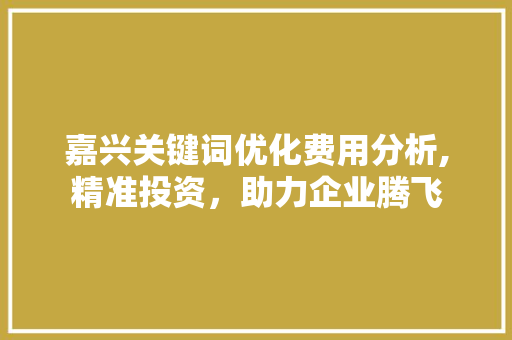 嘉兴关键词优化费用分析,精准投资，助力企业腾飞 网站开发