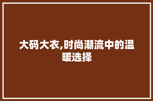 大码大衣,时尚潮流中的温暖选择