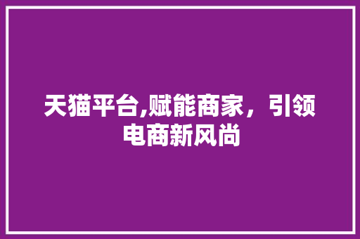 天猫平台,赋能商家，引领电商新风尚