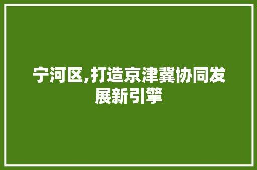 宁河区,打造京津冀协同发展新引擎
