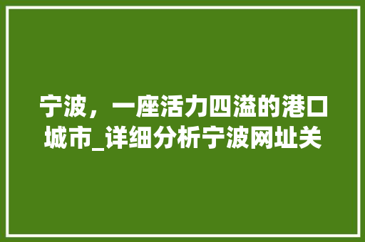 宁波，一座活力四溢的港口城市_详细分析宁波网址关键词优化步骤