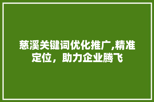 慈溪关键词优化推广,精准定位，助力企业腾飞 英文谷歌算法