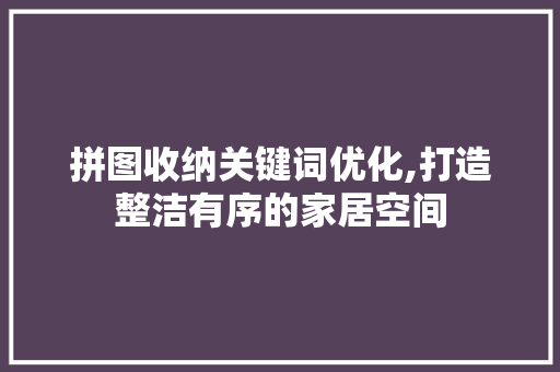 拼图收纳关键词优化,打造整洁有序的家居空间