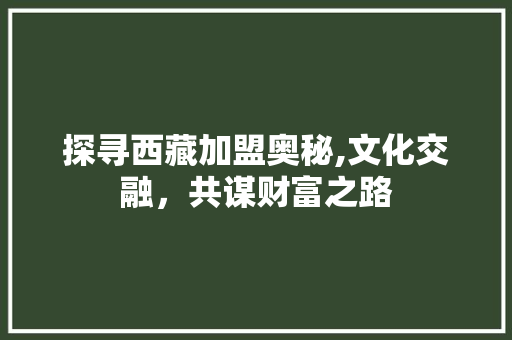 探寻西藏加盟奥秘,文化交融，共谋财富之路