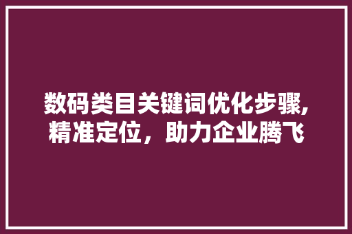 数码类目关键词优化步骤,精准定位，助力企业腾飞 百度算法