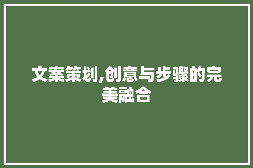 文案策划,创意与步骤的完美融合