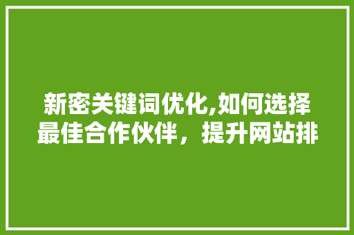新密关键词优化,如何选择最佳合作伙伴，提升网站排名与流量