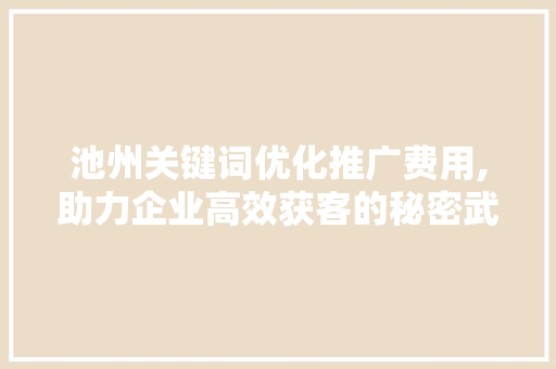 池州关键词优化推广费用,助力企业高效获客的秘密武器