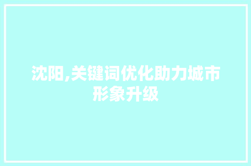 沈阳,关键词优化助力城市形象升级 网站开发
