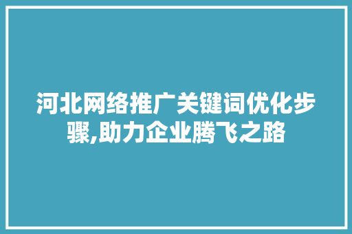 河北网络推广关键词优化步骤,助力企业腾飞之路 网站开发
