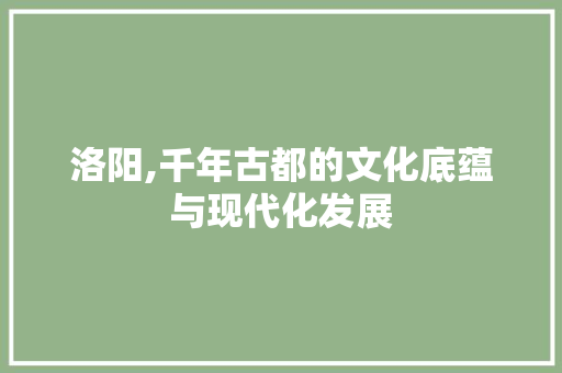 洛阳,千年古都的文化底蕴与现代化发展 英文谷歌算法