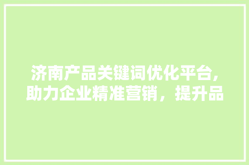 济南产品关键词优化平台,助力企业精准营销，提升品牌影响力