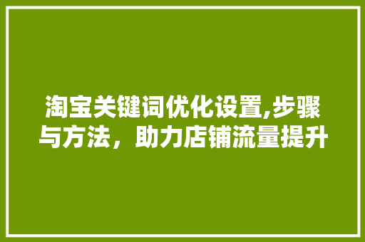 淘宝关键词优化设置,步骤与方法，助力店铺流量提升