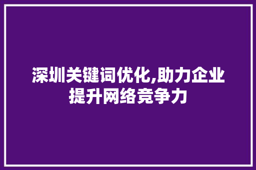 深圳关键词优化,助力企业提升网络竞争力 网站开发