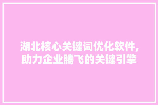湖北核心关键词优化软件,助力企业腾飞的关键引擎