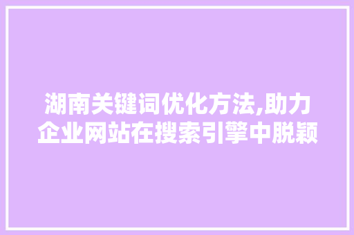 湖南关键词优化方法,助力企业网站在搜索引擎中脱颖而出 网站优化