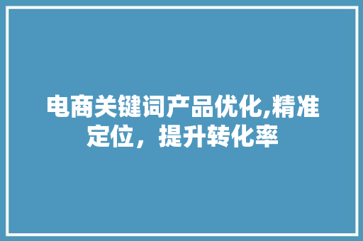 电商关键词产品优化,精准定位，提升转化率