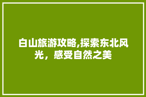 白山旅游攻略,探索东北风光，感受自然之美 百度算法