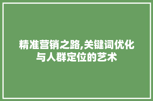 精准营销之路,关键词优化与人群定位的艺术