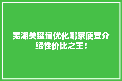 芜湖关键词优化哪家便宜介绍性价比之王！ 英文谷歌算法