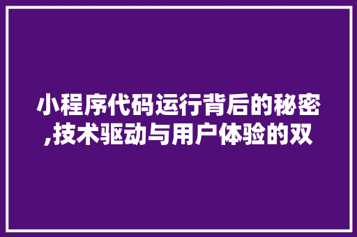 小程序代码运行背后的秘密,技术驱动与用户体验的双赢之路