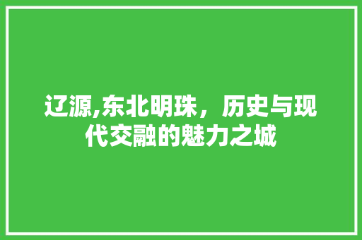 辽源,东北明珠，历史与现代交融的魅力之城