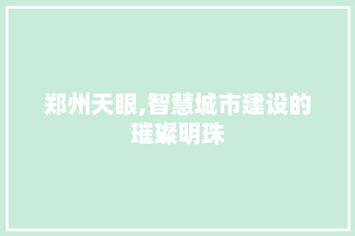 郑州天眼,智慧城市建设的璀璨明珠
